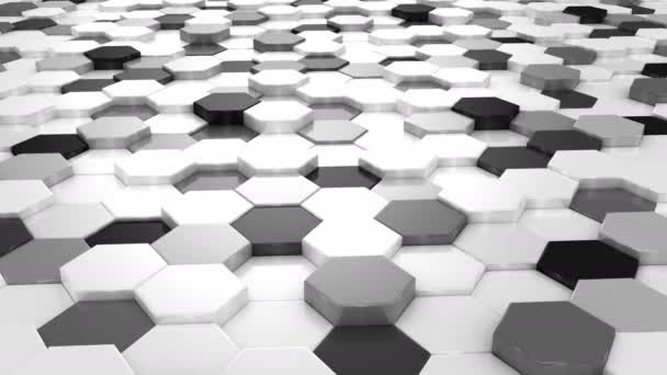 Hexagons Animés, Boucle — Video