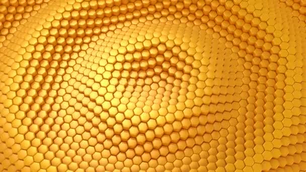 Arrière-plan des hexagones animés — Video