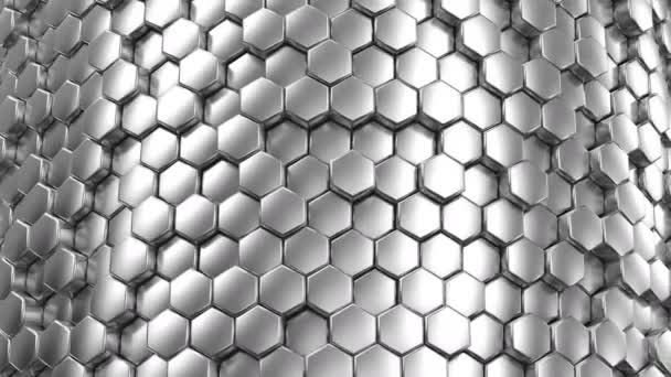 Background Hexagons Business Background Loop Created Animation — Stock Video