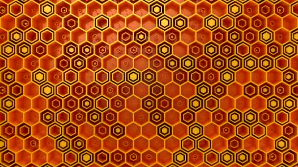 Bakgrund Hexagons Abstrakt Bakgrund Loop Rendering Upplösning — Stockvideo