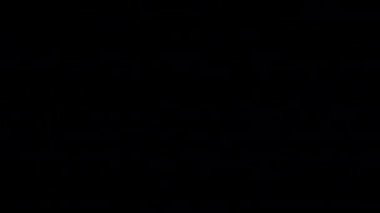 Değişim yaratmak için 15 Canlandırılmış Arkaplan. Siyah arkaplanda izole edilmiş, 3D görüntüleme, 4k çözünürlük