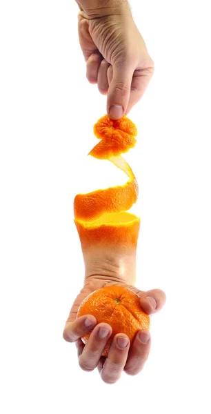 Segurando a laranja — Fotografia de Stock