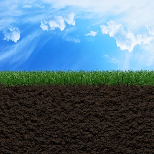 Fondo de hierba, suelo y cielo — Foto de Stock
