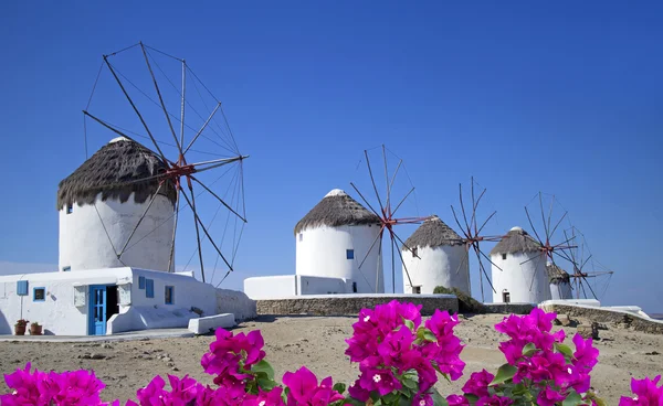 Mykonos célèbre en Grèce — Photo