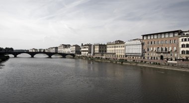 Arno Nehri profili
