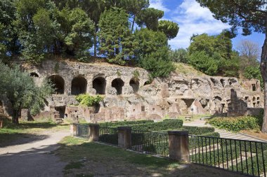 Roma Forumu