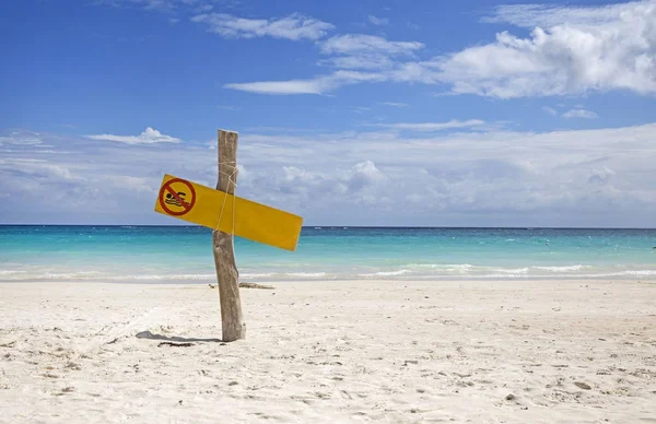 Ξύλινη Πινακίδα Κίτρινο Στην Τροπική Παραλία Στην Καραϊβική — Φωτογραφία Αρχείου