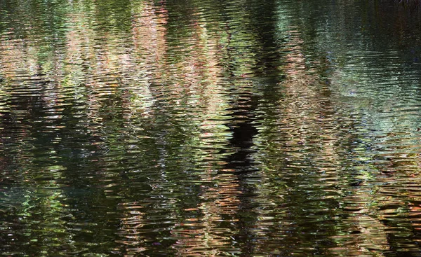 Wasser Nahaufnahme Mit Bunten Bäumen Reflexion Herbst — Stockfoto