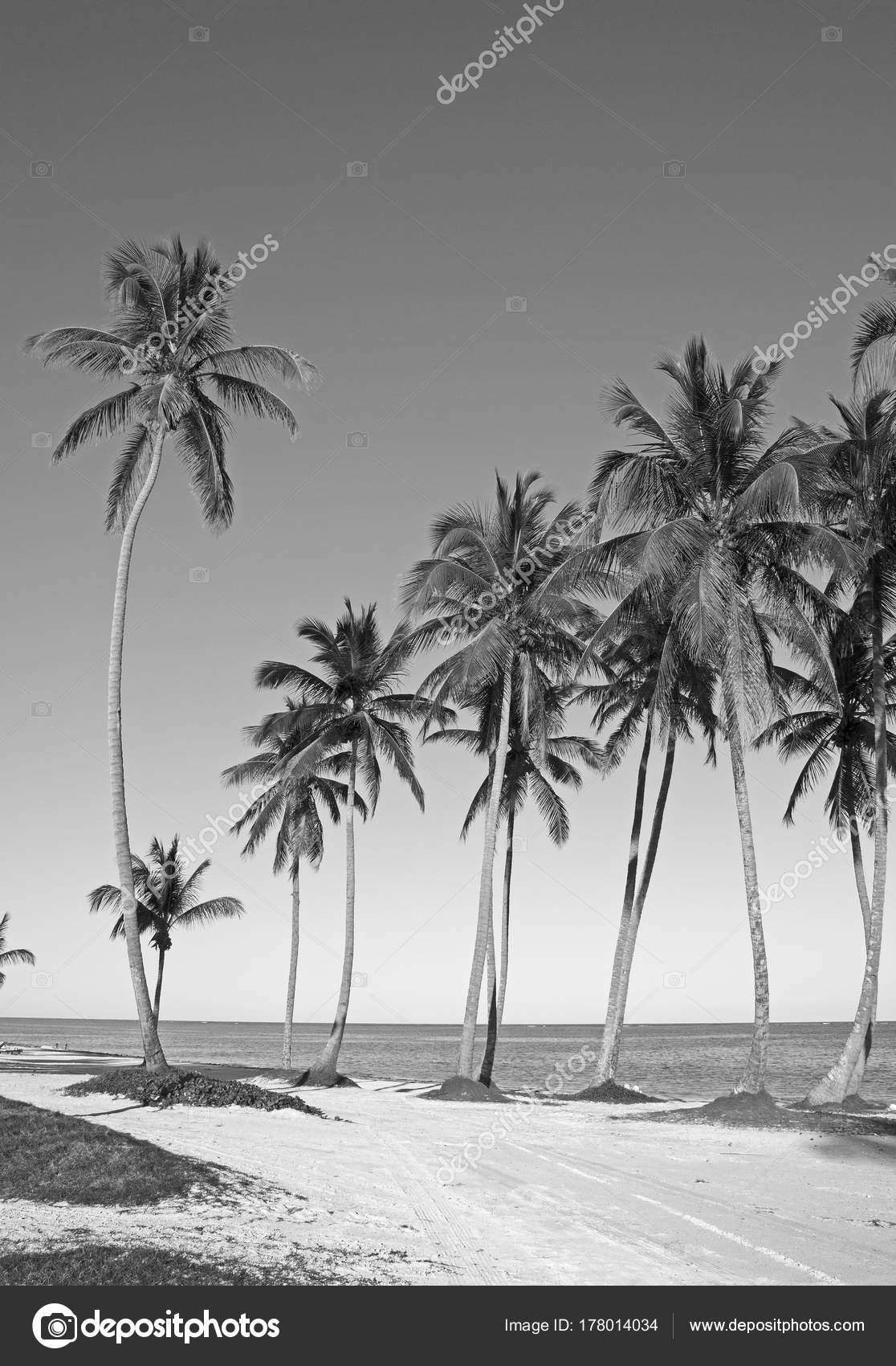 Caribbean Black and White Photographs