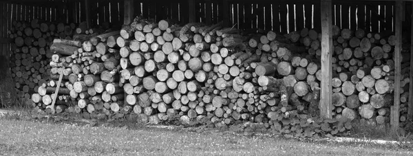 Big Firewood Pile Stacked Winter Black White — Stock Photo, Image