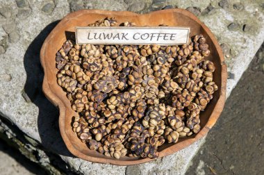 Kahve Luwak getirme işlemi