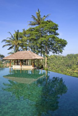 Sonsuzluk havuzu Ubud, Endonezya ormandaki