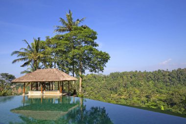 Sonsuzluk havuzu Ubud, Endonezya ormandaki
