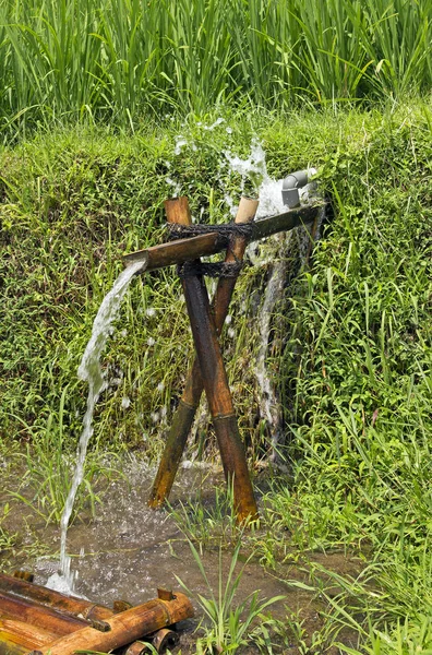 Irrigazione Campo Riso Asiatico Preso Sull Isola Bali — Foto Stock