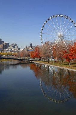 Renkli ağaçlarla dolu Montreal 'de sonbahar