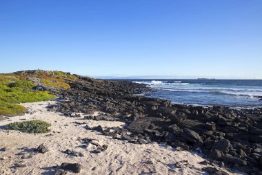 Galapagos adalarının manzarası açık bir günde çekildi