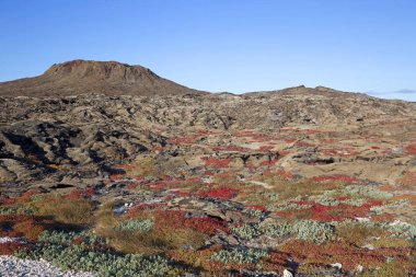 Galapagos adalarının manzarası açık bir günde çekildi