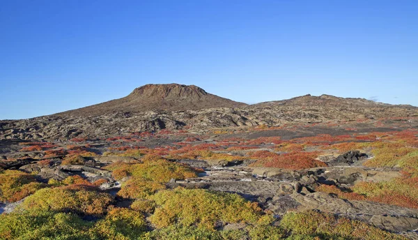 Krajobraz Wysp Galapagos Zrobiony Pogodny Dzień — Zdjęcie stockowe
