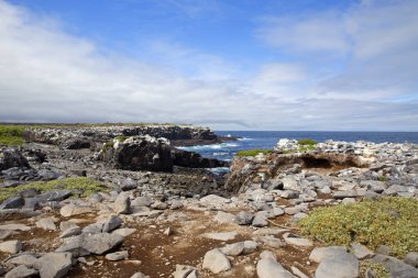 Galapagos adalarının manzarası açık bir günde çekildi