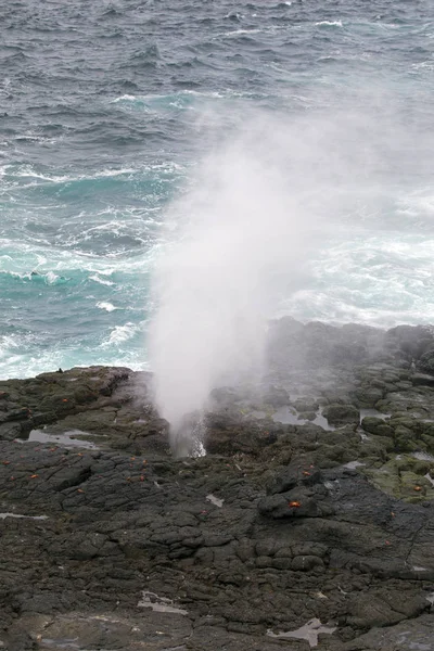 Paesaggio Delle Isole Galapagos Una Giornata Limpida — Foto Stock