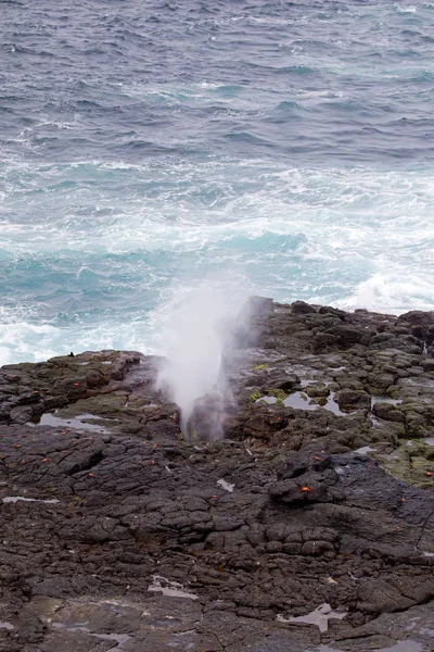 Islas Galápagos Paisaje Tomado Día Despejado —  Fotos de Stock