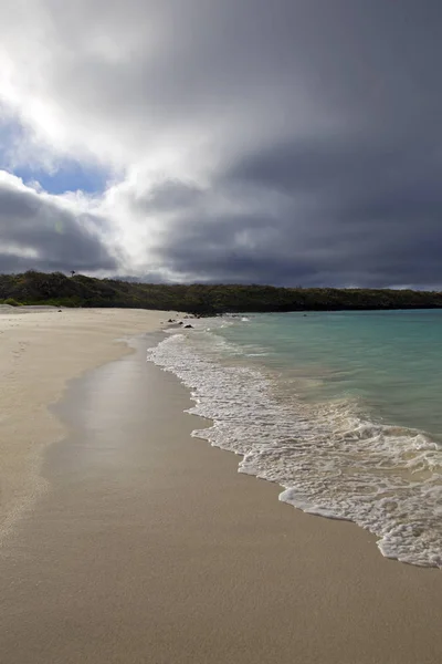 Krajobraz Wysp Galapagos Zrobiony Pogodny Dzień — Zdjęcie stockowe