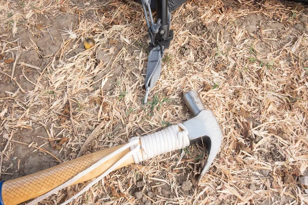 Hammer putting a nail-like tent peg out of iron into the grass on the ground. Push the anchor of the tent onto the ground.Travel concept.