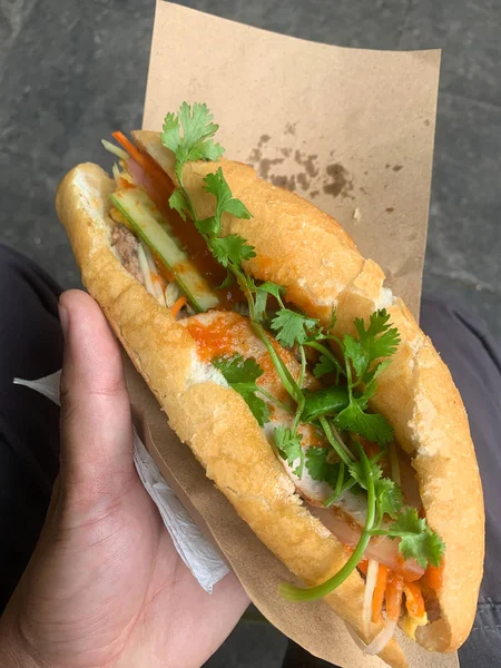 Real hand held banh mi sandwich Hoi An street food. — Stock Photo, Image