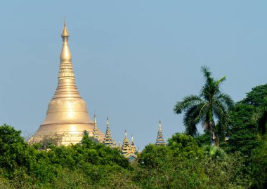 Yangon, Myanmar 'daki Peoples Park' tan ağaçlarla çevrili Shwedagon Pagoda