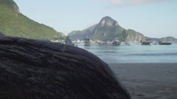 Nido Palawan Philippines October 2019 当小狗在海滩上经过时 潘放在海湾上 前景一片光明 120英尺 秒慢动作1080P总部 — 图库视频影像