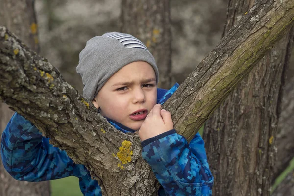 Wspinaczka drzewo dziecko — Zdjęcie stockowe
