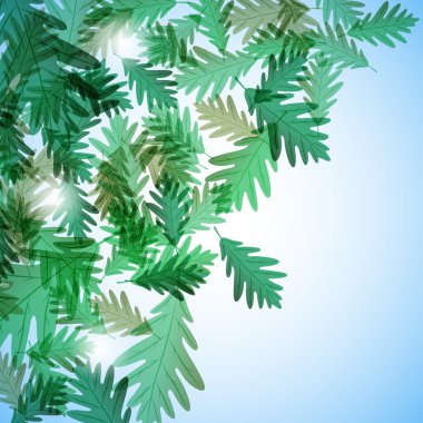 Resimde sonbahar motif. Meşe yaprağı. Vektör arka plan