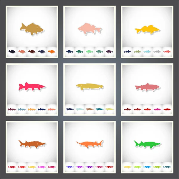 Des poissons d'eau douce. Un ensemble d'autocollants plats avec ombre sur fond blanc — Image vectorielle