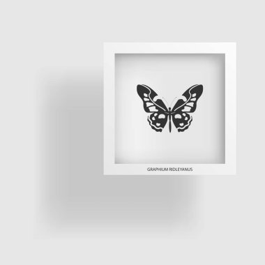 Kelebek. Kontur nesnenin soyut resim