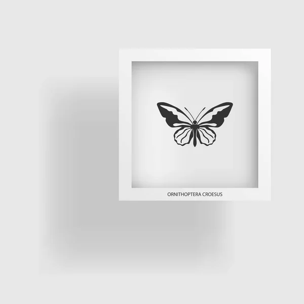 Motýl. Abstraktní obrázek obrysu objektu — Stockový vektor