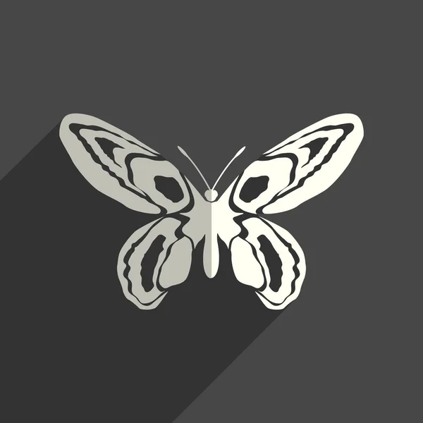 Πεταλούδα επίπεδες εικόνες με σκιά. Εικονογράφηση διάνυσμα — Διανυσματικό Αρχείο