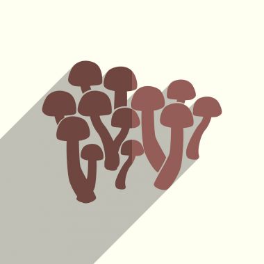 Mantar düz simgeleri ile gölge. Vektör çizim