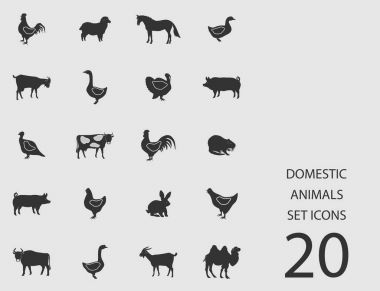 Evcil hayvanlar düz simgeler kümesi. Vektör çizim