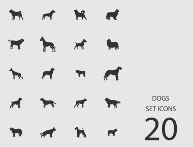 Köpekler düz simgeler kümesi. Vektör çizim