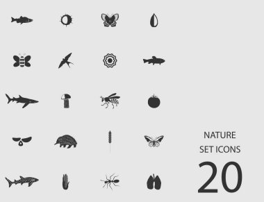 Doğa düz simgeler kümesi. Vektör çizim