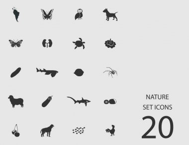 Doğa düz simgeler kümesi. Vektör çizim