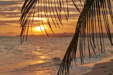 palm ile vietnam kenarı kırmızı günbatımı