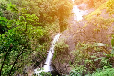 Chiang Mai, Tayland için derin ormandaki güzel şelale.