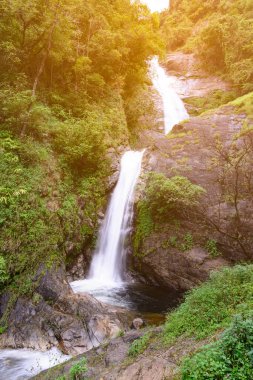 Chiang Mai, Tayland için derin ormandaki güzel şelale.