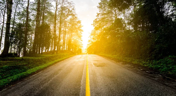 Scenic route through the forest. — Stock Photo, Image