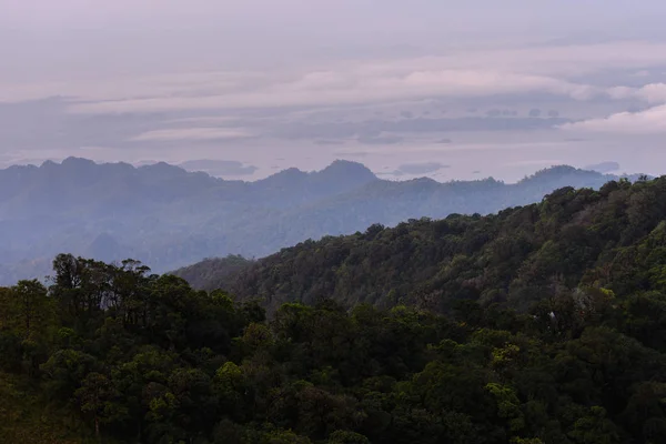 Floresta de névoa no topo da montanha na floresta . — Fotografia de Stock