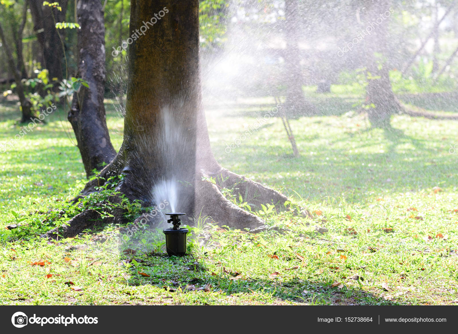 Garten Wasser Sprinkleranlage Stockfoto C Itman47 152738664