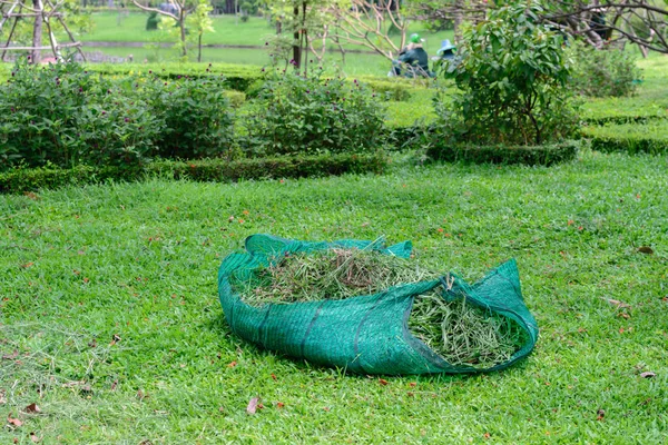 Śmieci utrzymany trawa w parku publicznym. — Zdjęcie stockowe