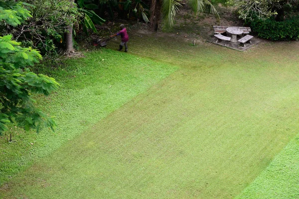 Trilha de gramado de corte com movimento desfocado de jardineiro em casa jardim . — Fotografia de Stock
