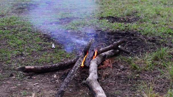 Feu Extérieur Dans Forêt Hiver — Video